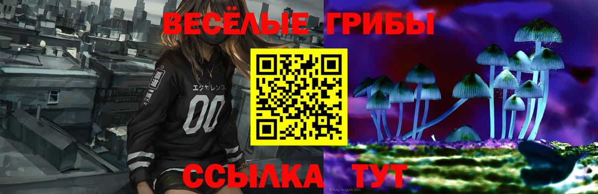Тольятти  Псилоцибиновые грибы Psilocybe  Вход с VPN 